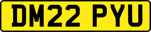 DM22PYU
