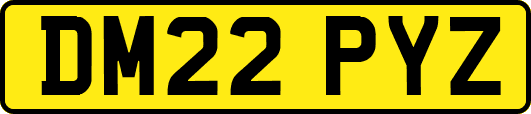 DM22PYZ