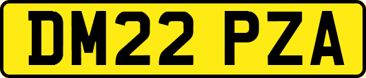 DM22PZA