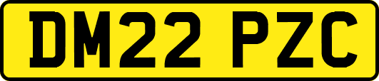 DM22PZC