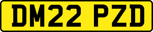 DM22PZD