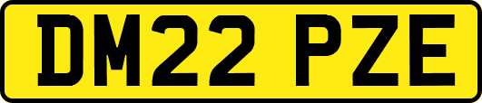 DM22PZE