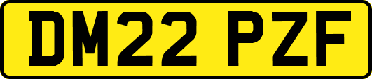 DM22PZF