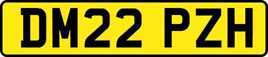 DM22PZH