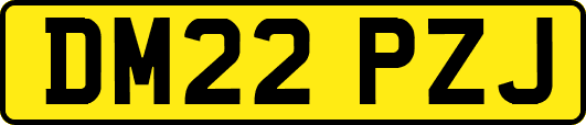 DM22PZJ