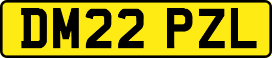 DM22PZL