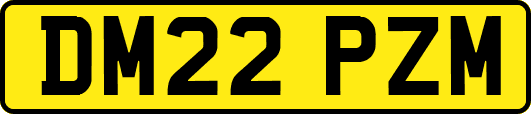 DM22PZM