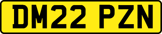 DM22PZN