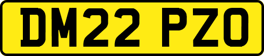 DM22PZO
