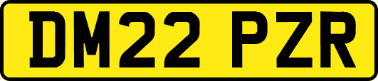 DM22PZR