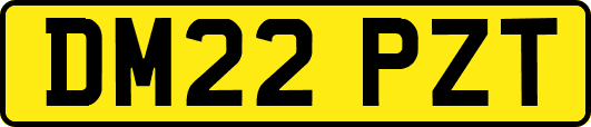 DM22PZT