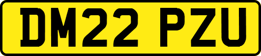 DM22PZU