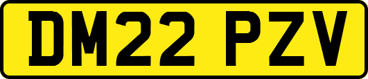 DM22PZV