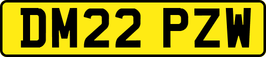DM22PZW