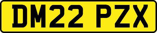 DM22PZX