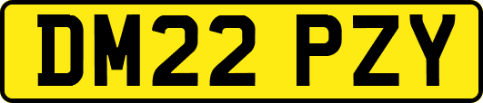 DM22PZY