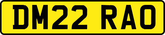 DM22RAO