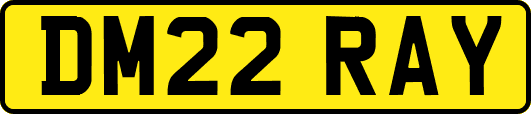 DM22RAY