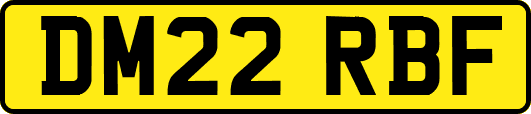 DM22RBF
