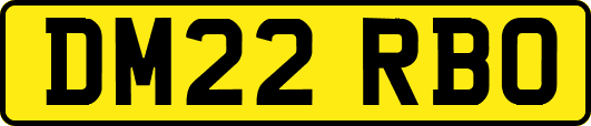 DM22RBO