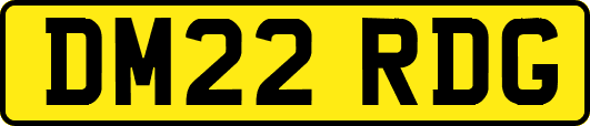 DM22RDG