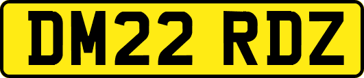 DM22RDZ