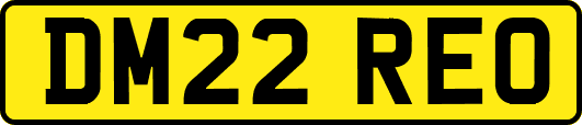 DM22REO