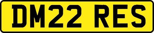 DM22RES