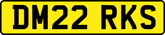 DM22RKS