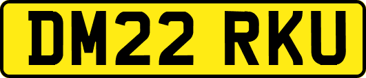 DM22RKU