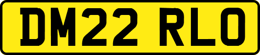 DM22RLO