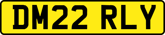 DM22RLY