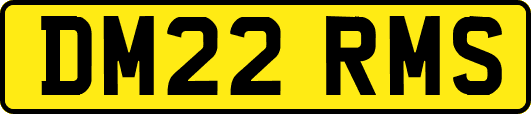 DM22RMS