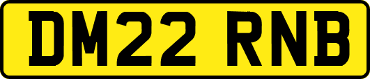 DM22RNB