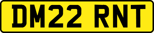 DM22RNT