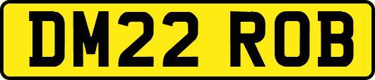 DM22ROB