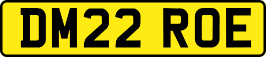 DM22ROE