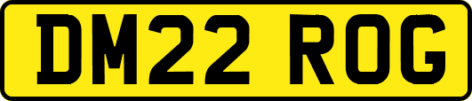DM22ROG