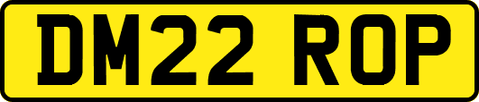 DM22ROP