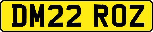 DM22ROZ
