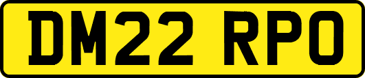 DM22RPO