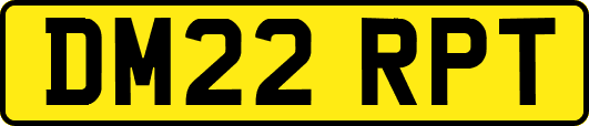 DM22RPT