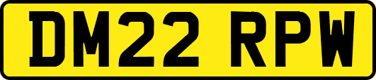 DM22RPW