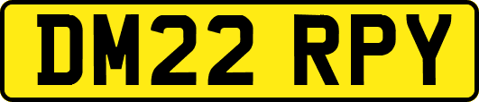 DM22RPY