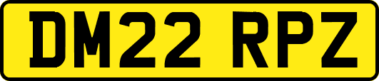 DM22RPZ