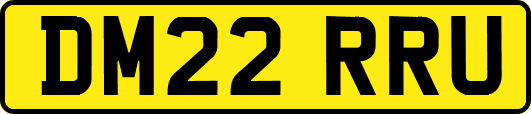 DM22RRU