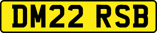 DM22RSB