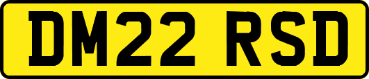 DM22RSD