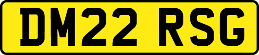 DM22RSG