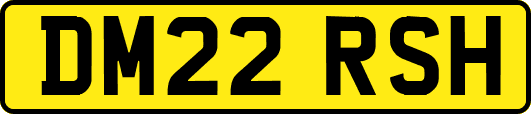 DM22RSH